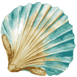 AGUA DIVA Seasheel1